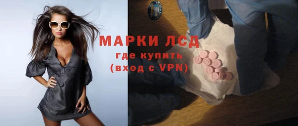 шишки Баксан