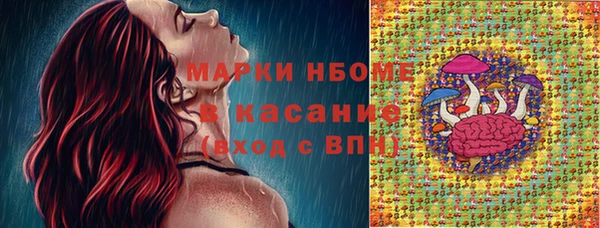 шишки Баксан