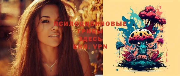 гашик Балабаново