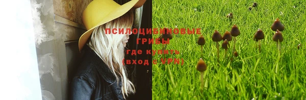 гашик Балабаново